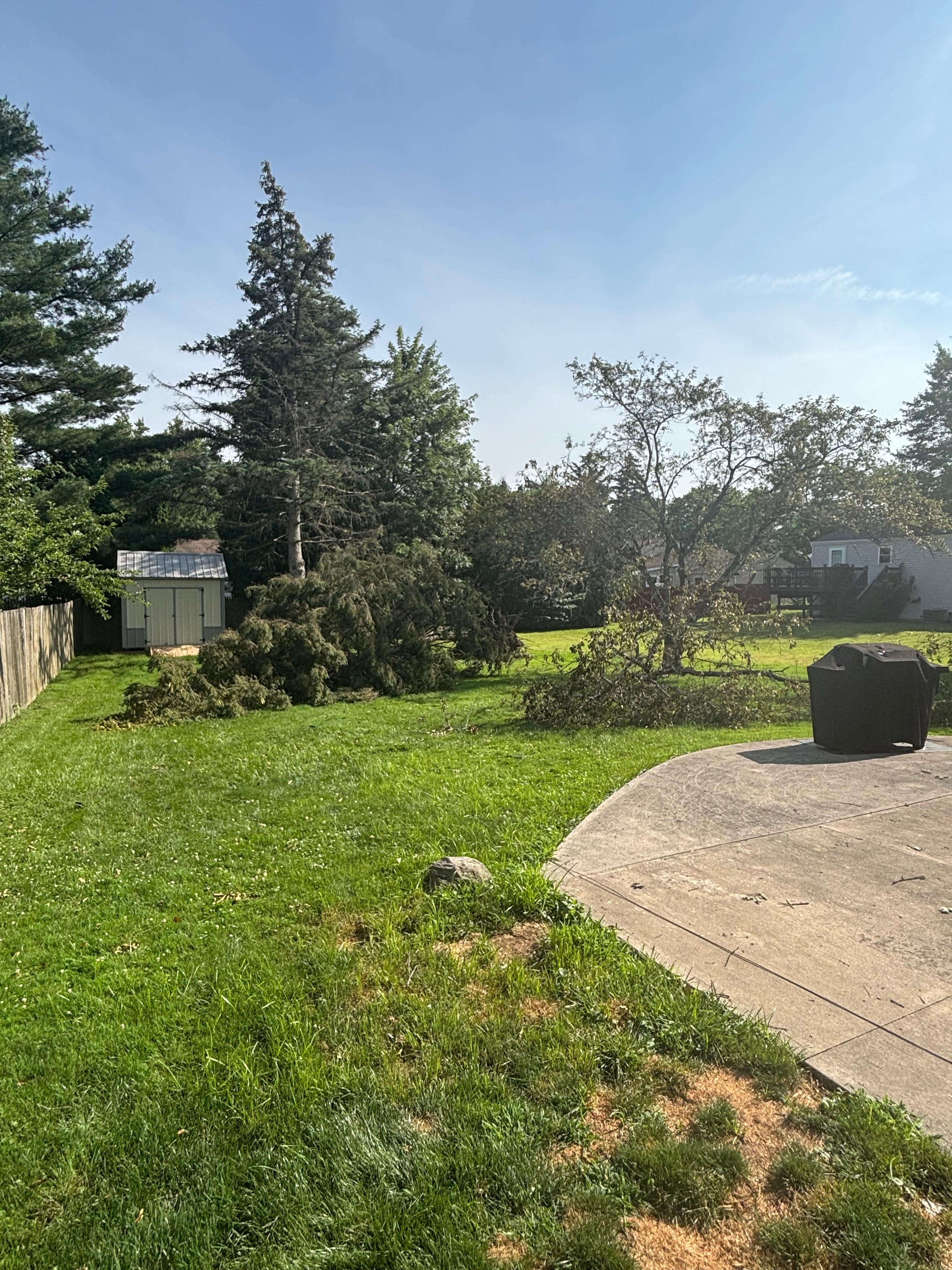 Storm damage tree removal in progress