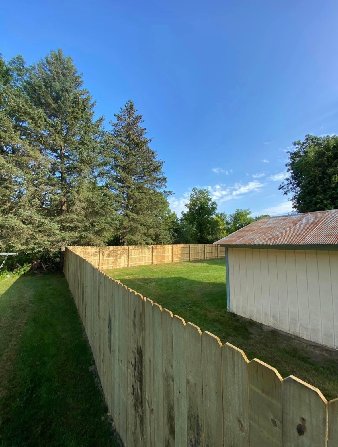 New wood privacy fence along yard