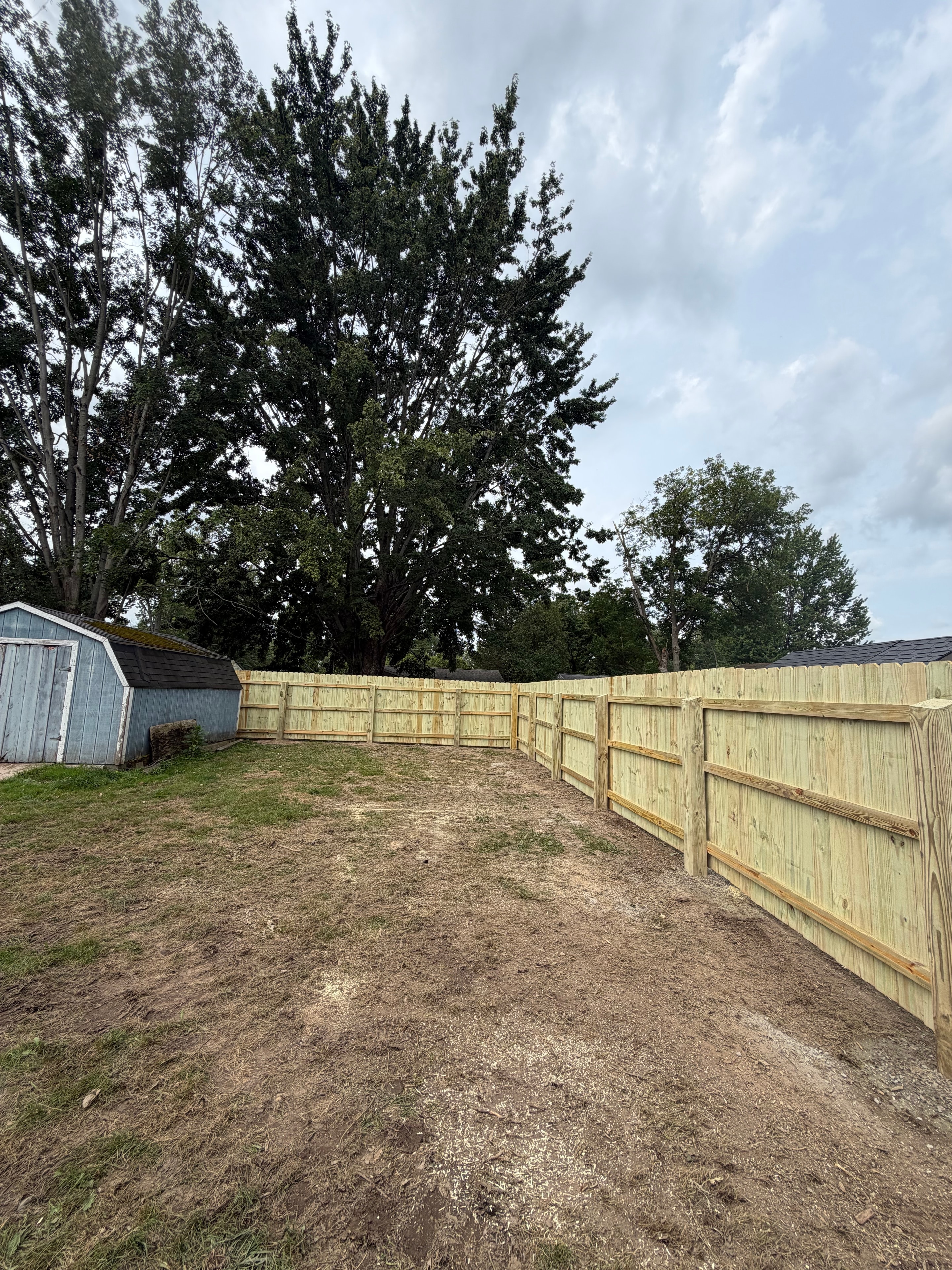 New fence corner view with shed and trees