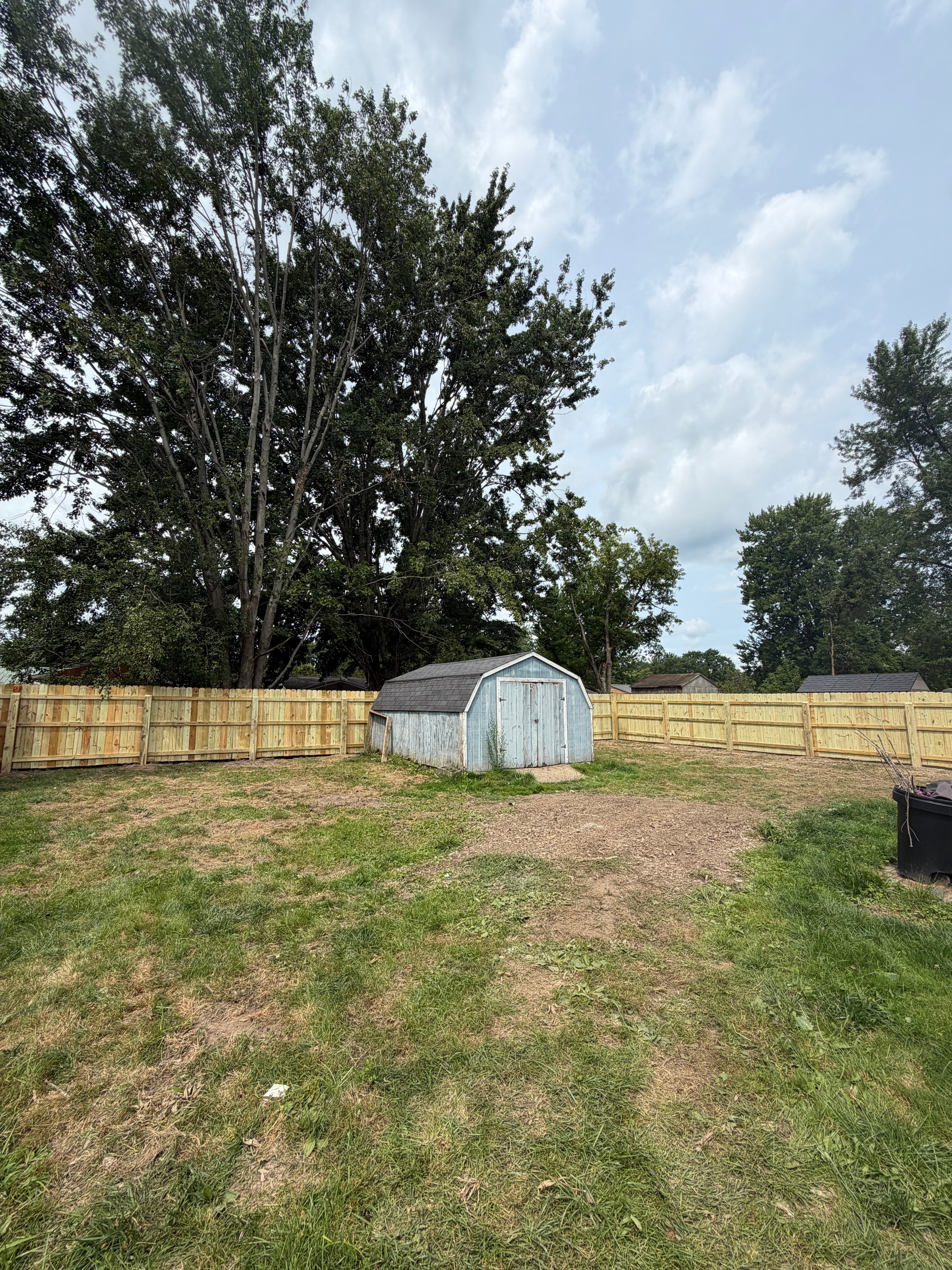 New fence straight-on view with shed