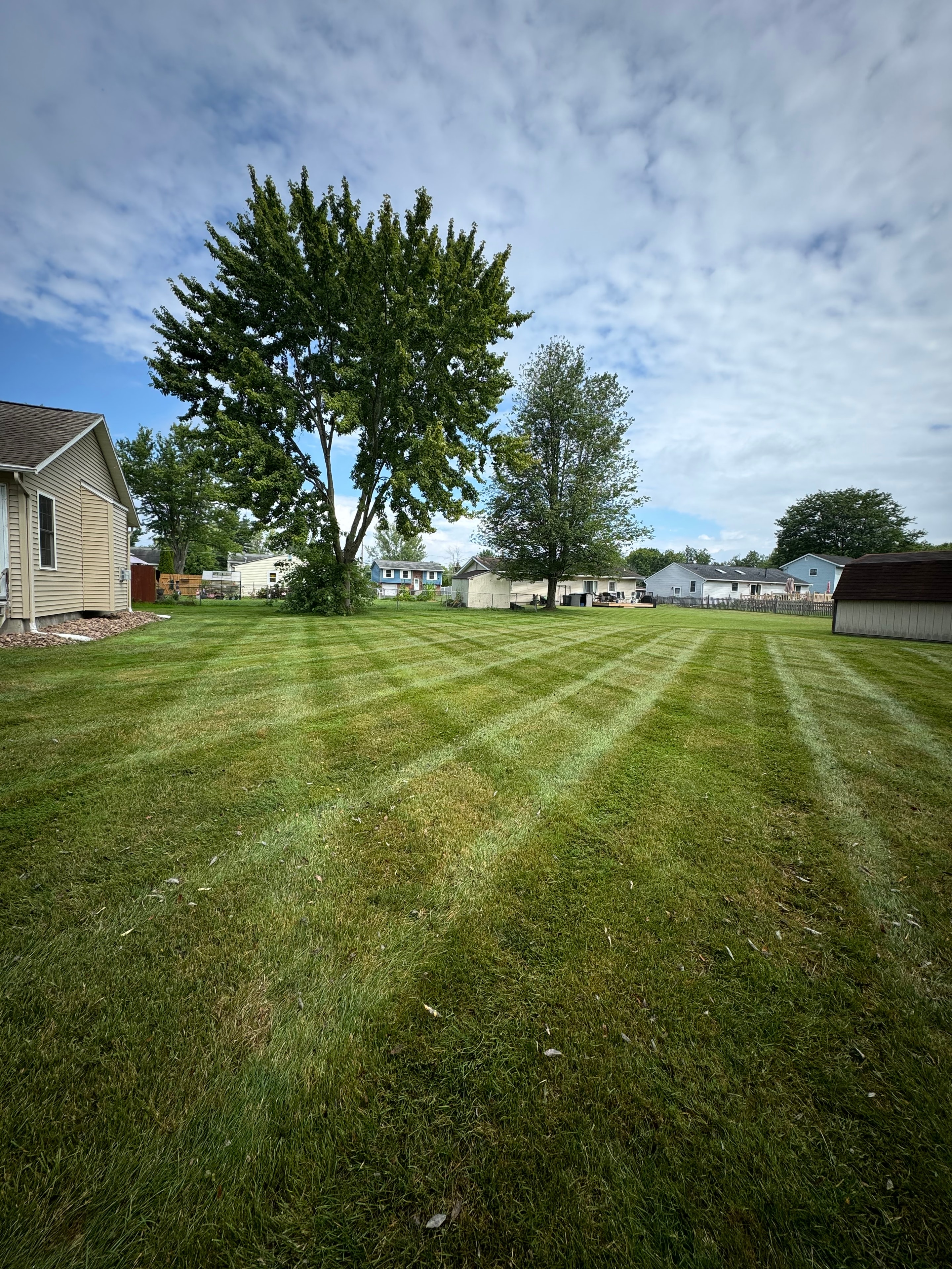 Backyard lawn with clean mowing stripes