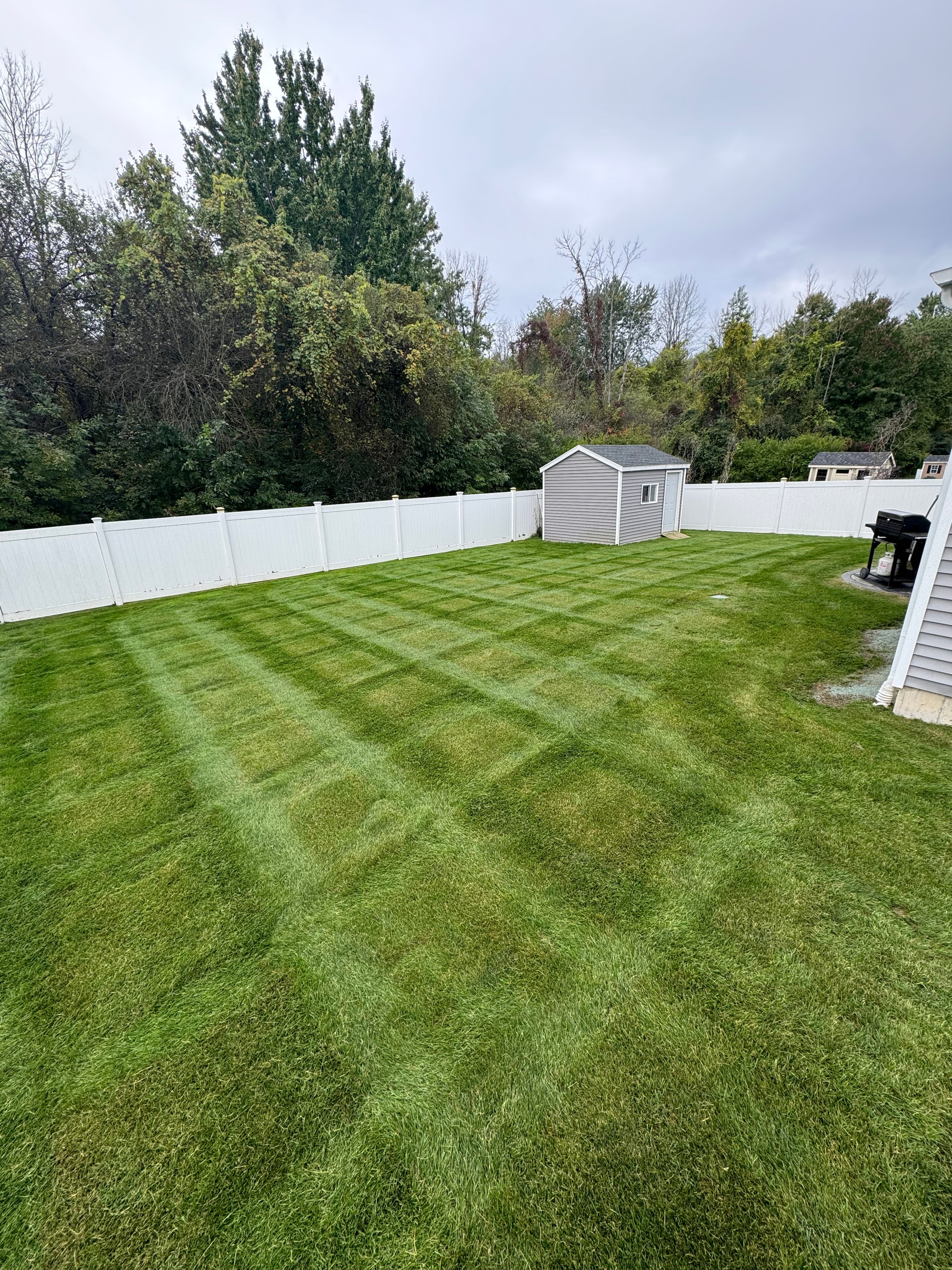Fenced backyard with manicured lawn and shed