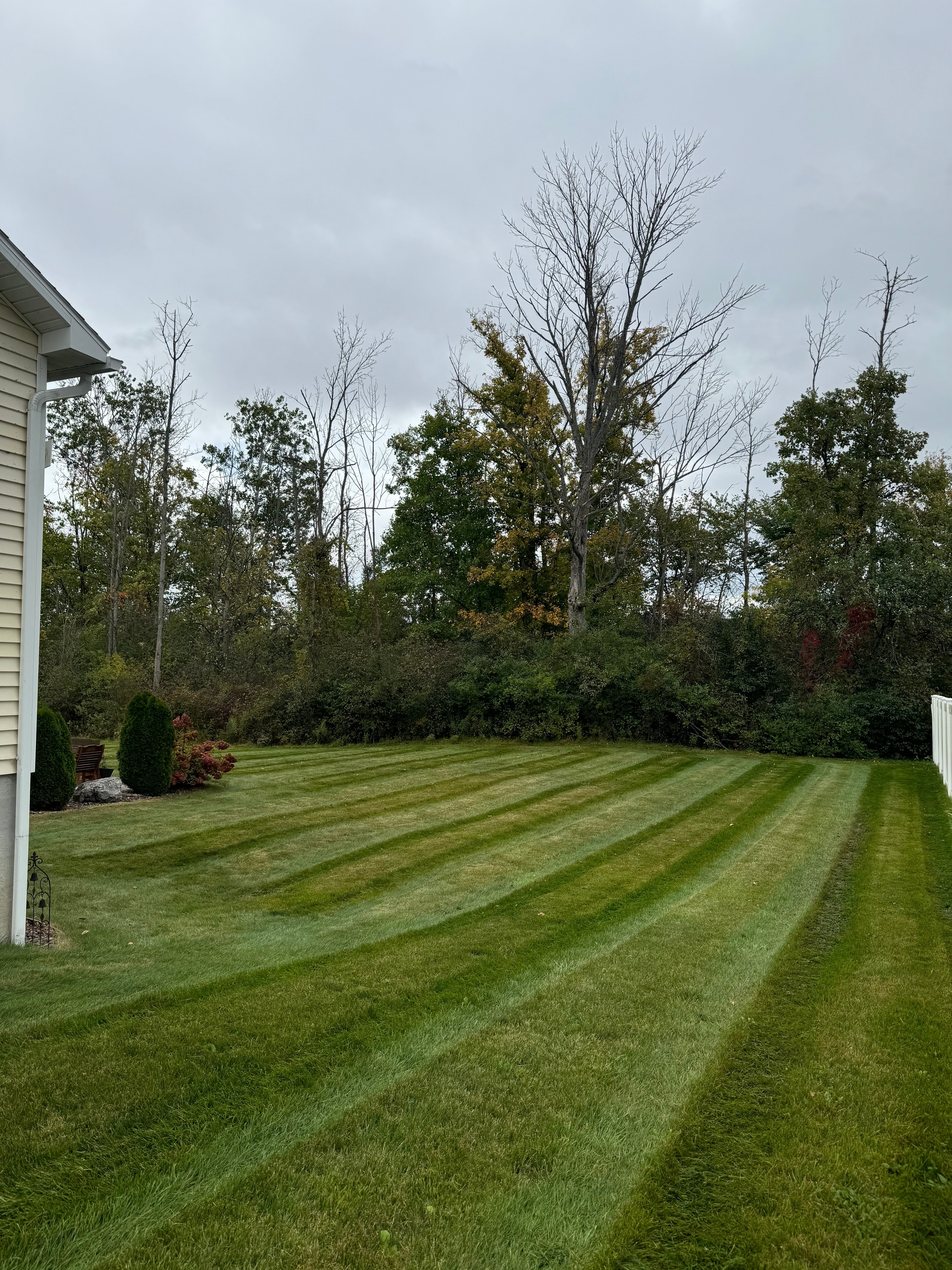Fall lawn care with crisp mowing stripes