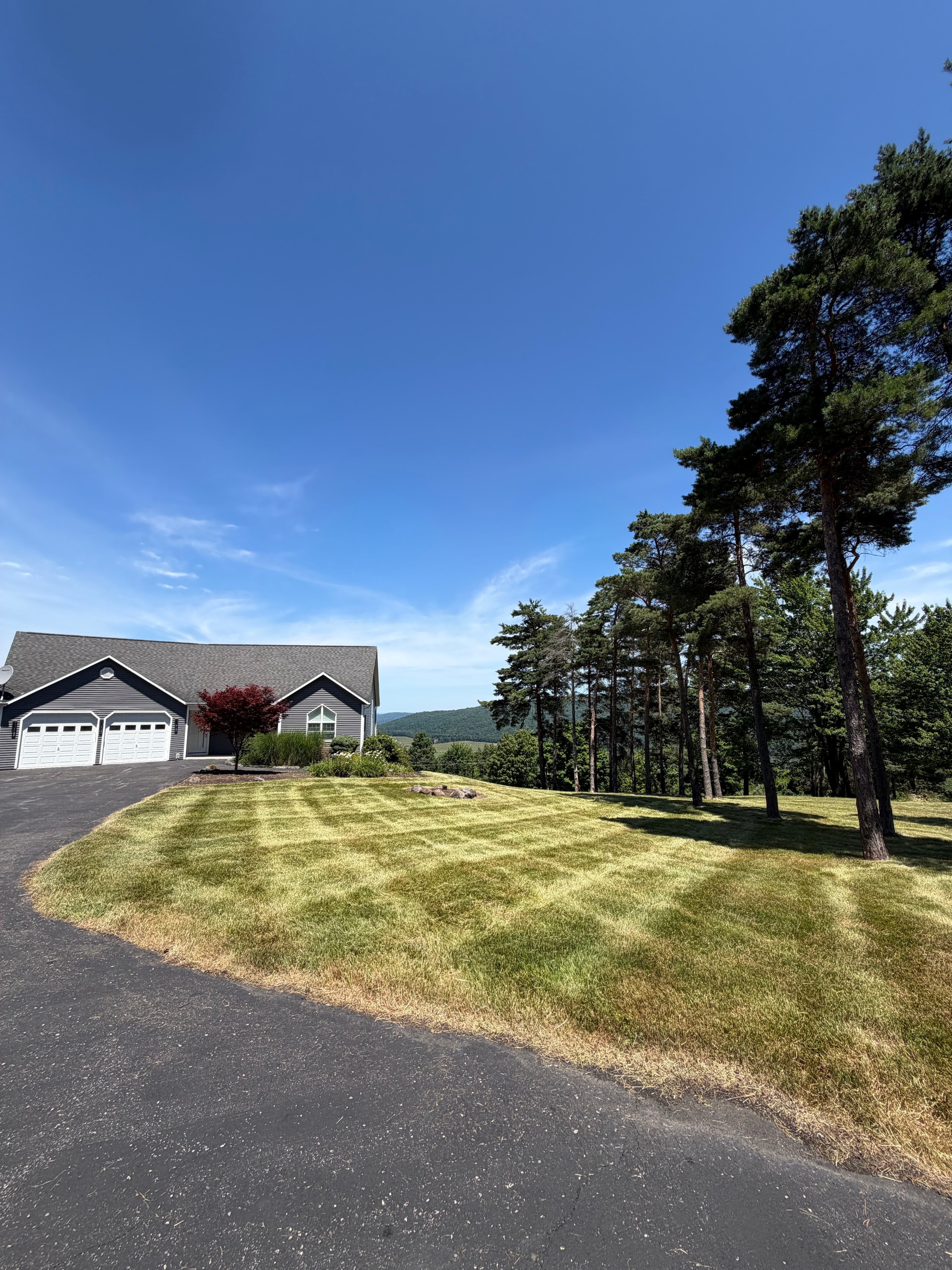 Home with striped lawn, tall pines, and mountain